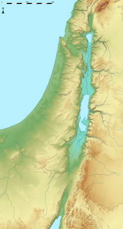 Large relief map of Israel.