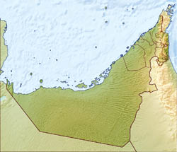 Large relief map of UAE.
